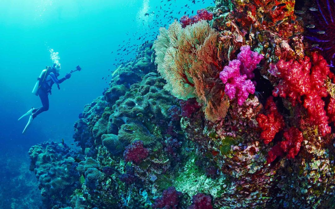 Do you Know the 10 Best Places to Scuba Dive in Thailand?