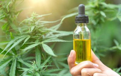 Marijuana Oil Extract Distributed to Nationwide Hospitals in August