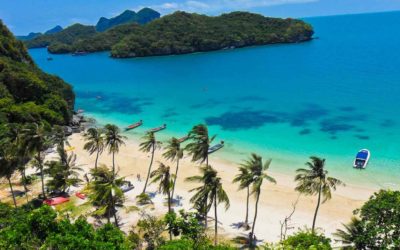 Top 10 Tours in Koh Samui You Should Experience