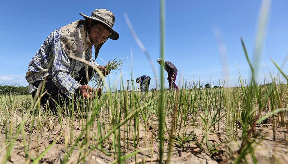 Thailand’s Drought disaster estimated 10bn baht ($326M)
